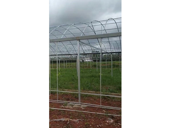 江西新余市龍晟生物科技有限公司（連棟溫室）